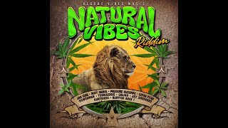 Natural Vibes Riddim Mix (2024) Busy Signal, Jah Cure, Lutan Fyah, Pressure Busspipe, Ginja