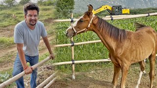 रूपेश आज वापस जा रहा है😱😱😱#baawalechorevlogs #baawalechorecows #horsevlog #jhumar #cowvlog