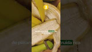 📰 Éstas son: las 3 noticias agro del día!  #agricultura #agro #campo #fincas #cultivos