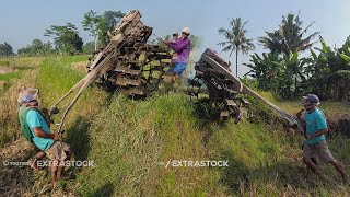 Perjalanan Jauh 2 Traktor Sawah Menuju Lahan Garapan