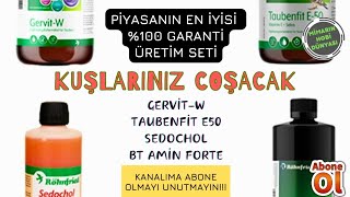 Muhabbet Kuşlarına Verilmesi Gereken Vitaminler | Kızıştırma, Üreme, Tüy, Sağlık ve Bakım