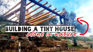 building ' my dream' off grid cabin in nature