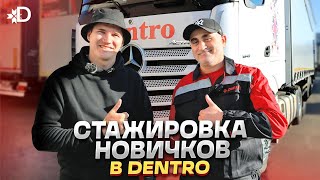 ПРОГРАММА СТАЖИРОВКИ DENTRO | РАСЦЕПКА ПОЛУПРИЦЕПА