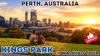 Don't Miss Out on Perth's Best Kept Secret - Kings Park Walking Tour