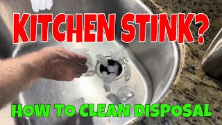 Garbage Disposal cleaning Hack - Chemical free method for maintaining an Insinkerator Pig