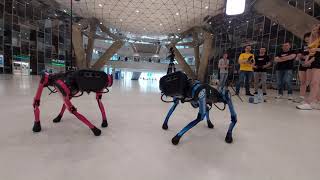 Новые собаки-роботы от UNI3| New robot dogs from UNI3