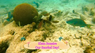 Bonaire /  Klein Bonaire - Our snorkel day!