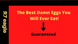 The Best Damn Eggs You Will Ever Eat!