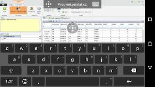 PALSTAT CAQ přes RDP na telefonu s Android