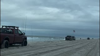 Island Beach State Park bluefish runs