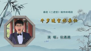 秦腔《二进宫》选段：千岁进宫休要忙/徐通通演唱