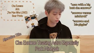 Astro Cha Eunwoo in a Nutshell