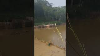 Menjala Ikan Dipinggiran Setu Sanghyang