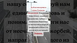 Ради семейного благополучия, Господи Вседержитель, благослови нашу семью и даруй нам единство……