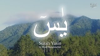 SURAT YASIN (Yaseen) Lengkap Terjemah | DODI HIDAYATULLAH