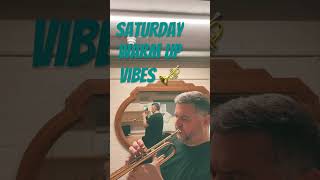 Saturday warm up vibes #trumpet #trumpeter #brassinstrument #trumpetplayer #shrekthemusical