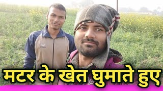 मटर के खेत घुमाते हुए||daily vlog vlogs infinite