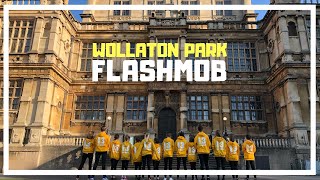 13 the Musical Flash Mob - Wollaton Hall & Deer Park | Copper Studios