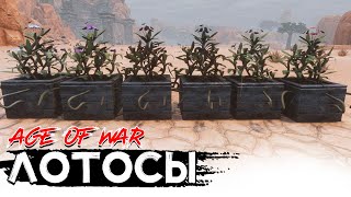 Все виды лотоса! CONAN EXILES AGE OF WAR