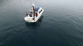 Silver Salmon Fishing Prince William Sound, Alaska.