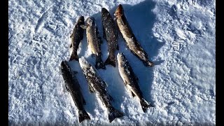 За кумжей...Часть 3.Зимняя рыбалка.Мурманская область...30.03.2019/fishing for trout. part 3.