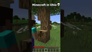 Can't even play Minecraft in Ohio 💀(part 12) #shorts #minecraft #ohio