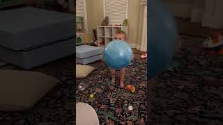 Baby plays fetch! Baby retriever!