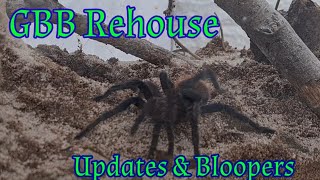 GBB rehouse, updates and bloopers