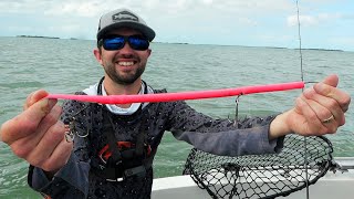 WILD Fishing JURASSIC Island In The Florida Keys!!