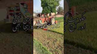 حکومت گندم اور کسان #kisanlink #agriculture #gandum #wheat