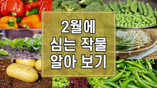 2024년 2월에 심는 작물 10가지 알아보기