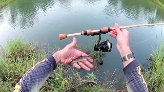 MICRO FISHING com Vara Ultralight de Bamboo