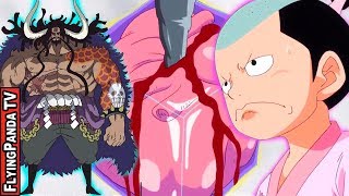 KAIDO & MOMO's SHOCKING Past! - Vegapunk and DNA | ONE PIECE