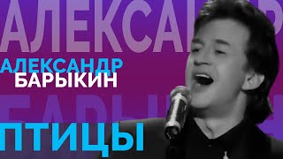 Александр Барыкин - Птицы