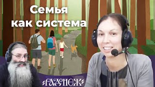 Семья как система