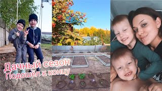 Последний ДАЧНЫЙ VLOG 🏡Снова заболели🤕 Досадила цветы🌷Обработала ягоду🍓