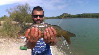 Pesca de ciprínidos con cebador