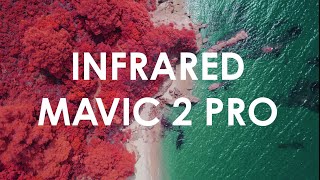 Infrared Mavic 2 Pro