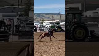 Cooper placing us third in the round🥰#sheridanlostroh #imafamousbutton #barrelracing