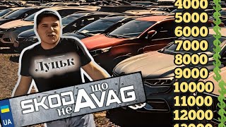 Автобазар м.Луцьк📌12.09.24📞0978911118👉перевірка авто🔬 @SKODAVAG