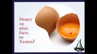 МОГУТ ЛИ ЙЦА БЫТЬ НЕ ХАЛЯЛЬ???