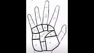 Various mounts in Palmistry #Shorts