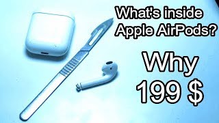 what have inside apple airpods ?