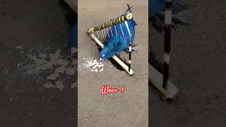 Pigeon trap | amazing bird trap | bird catching / #shorts