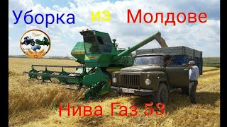 День  3 Нива СК 5 убока озимой пшеницы 🔴Молдова 🔵2019