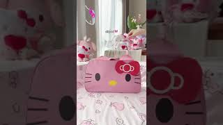 Hello Kitty Fans NEED This Amazing Storage Solution!