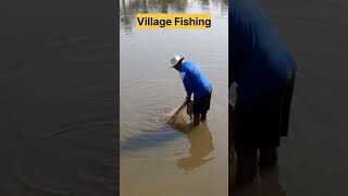 Pond Fishing😲 Tilapia village Fish #shorts #casting fishing net