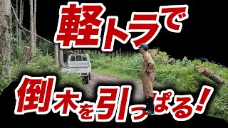 倒木を【軽トラで引っ張れるか？】滑車も使ってみる！