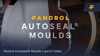 Pandrol AutoSeal® Moulds Launch Video