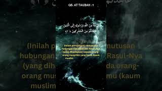 At Taubah 1 | Permintaan Kebebasan dari Perjanjian dengan Musyrikin | Kutipan Al Quran #shorts